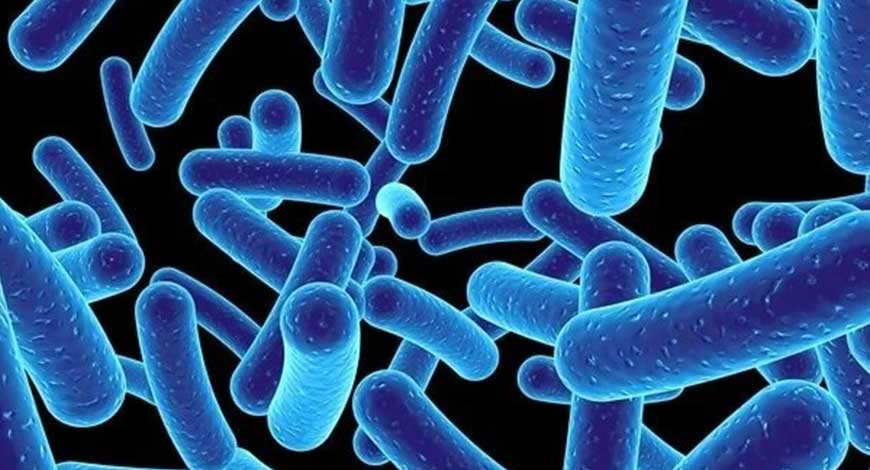 New type of silver coating prevents bacteria from adhering to medical ...